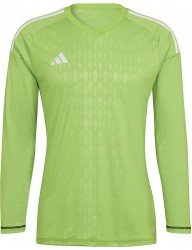 Pánske športové tričko Adidas R5893