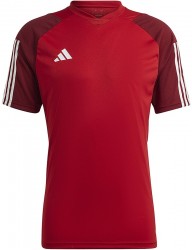 Pánske športové tričko Adidas R5910